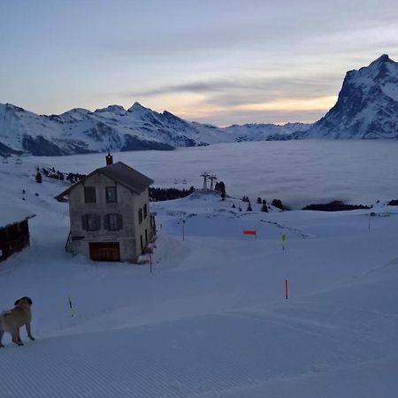 Lodge Bergrestaurant Kleine Scheidegg Exterior foto